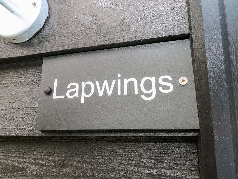 Lapwings - Hampshire - 1137078 - thumbnail photo 4