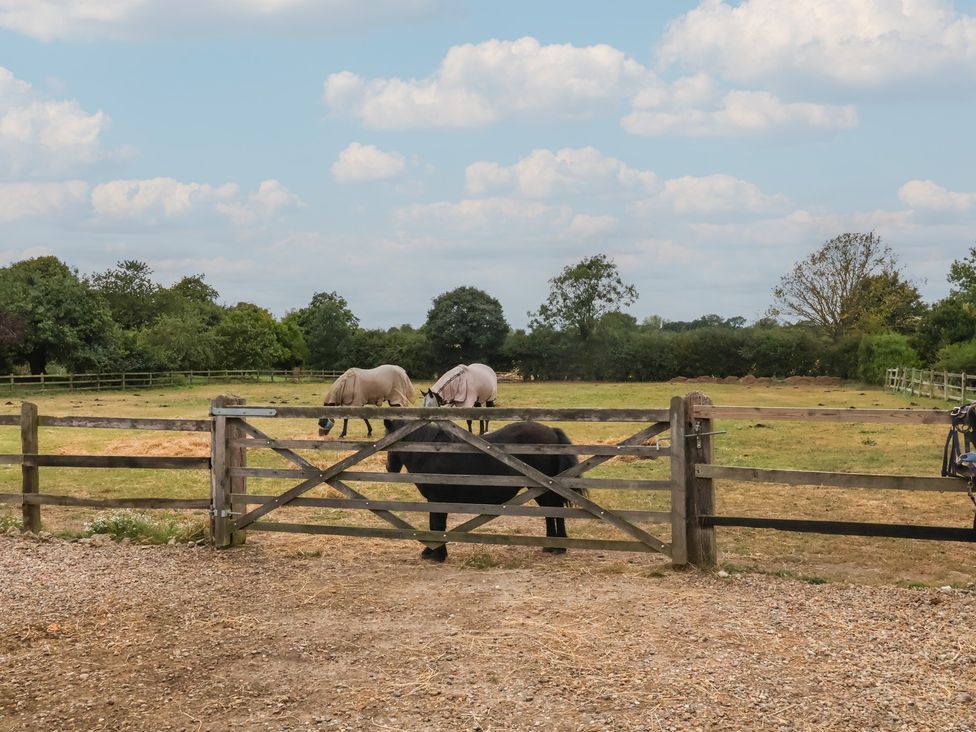 A field with horses behind a wooden gate at The Cow Shed in Chediston near Halesworth