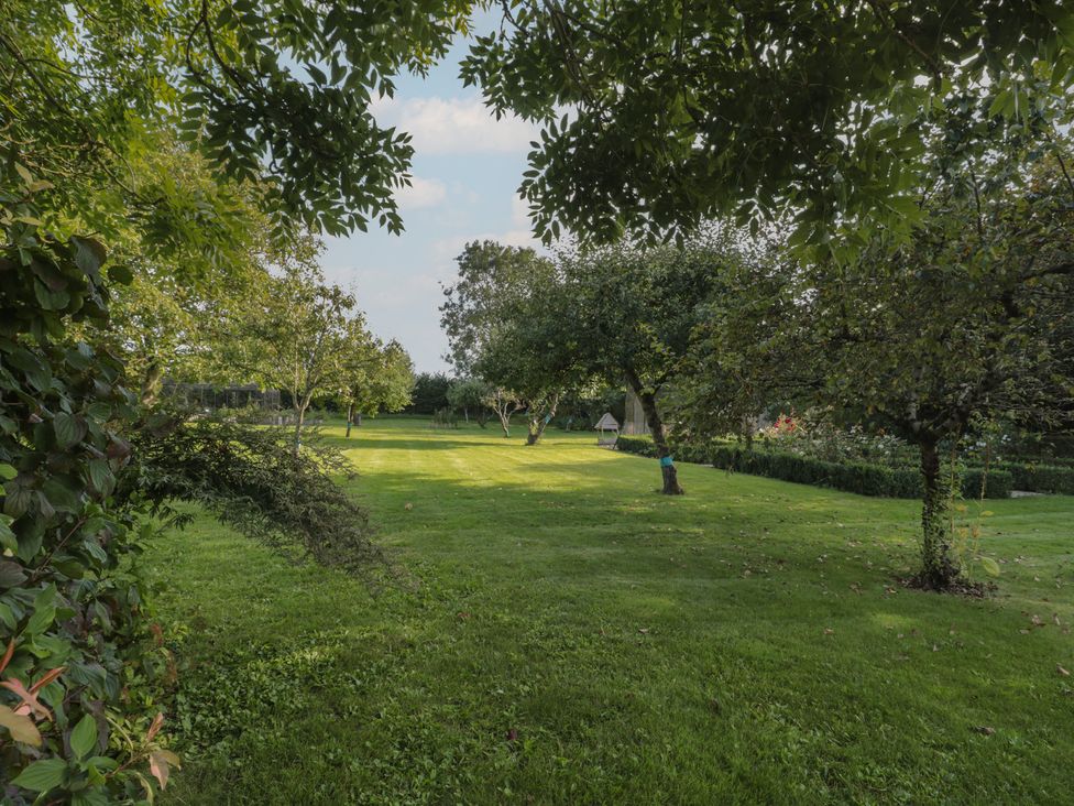 Orchard Cottage - Dorset - 1137964 - thumbnail photo 31