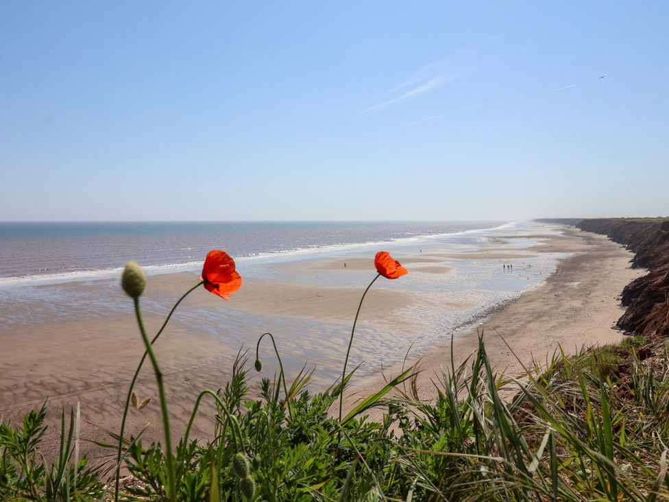 A beach view with flowers at the edge at The Grange in Flamborough