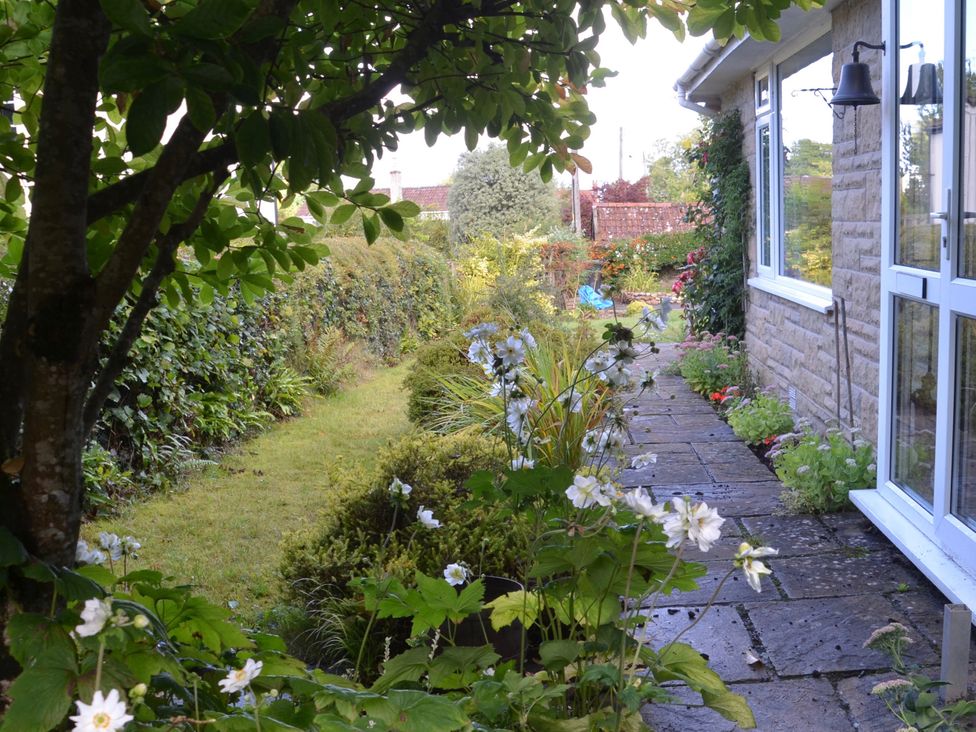 A garden pathway with plants and flowers at Woodstock in Chard