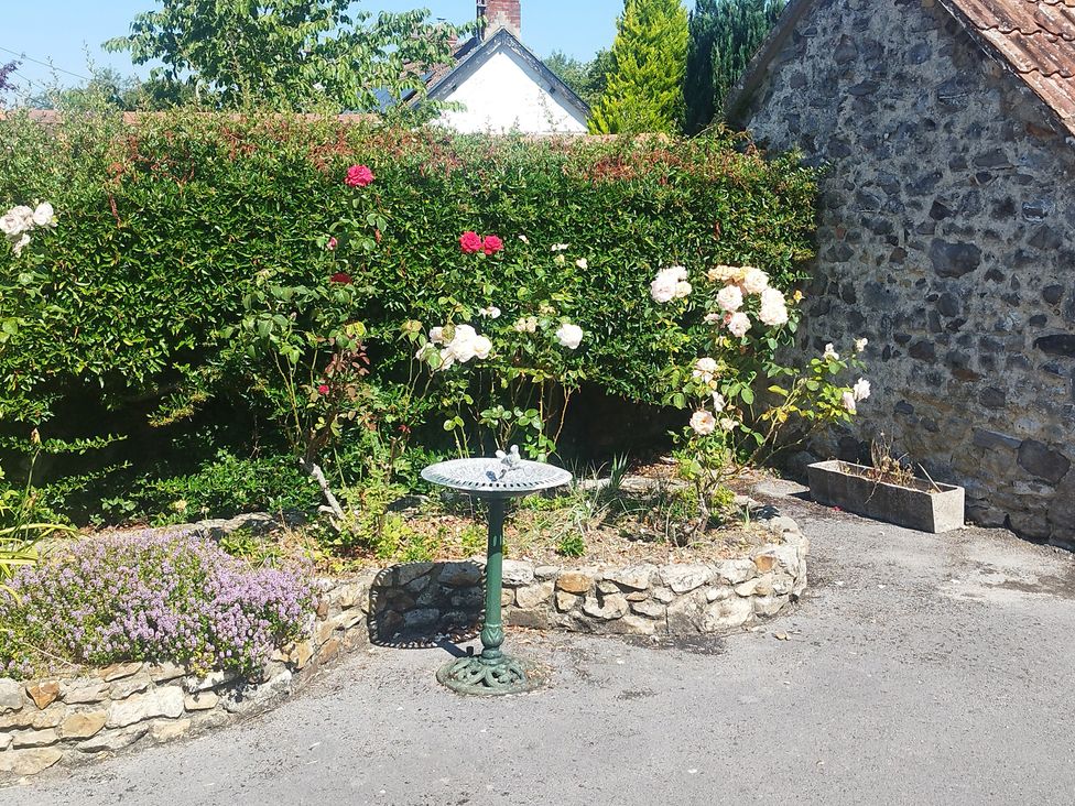 A garden with flowers and a birdbath at Woodstock in Chard