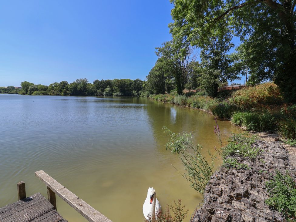 A lake with a swan near the dock at Woodstock in Chard