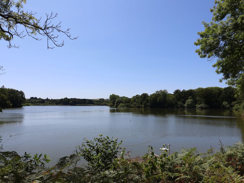 A lake surrounded by trees at Woodstock in Chard