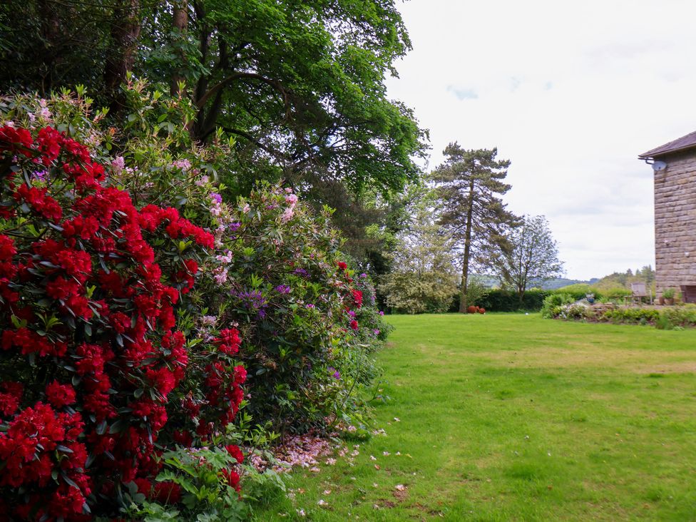 The Grange - North Yorkshire (incl. Whitby) - 1138201 - thumbnail photo 24