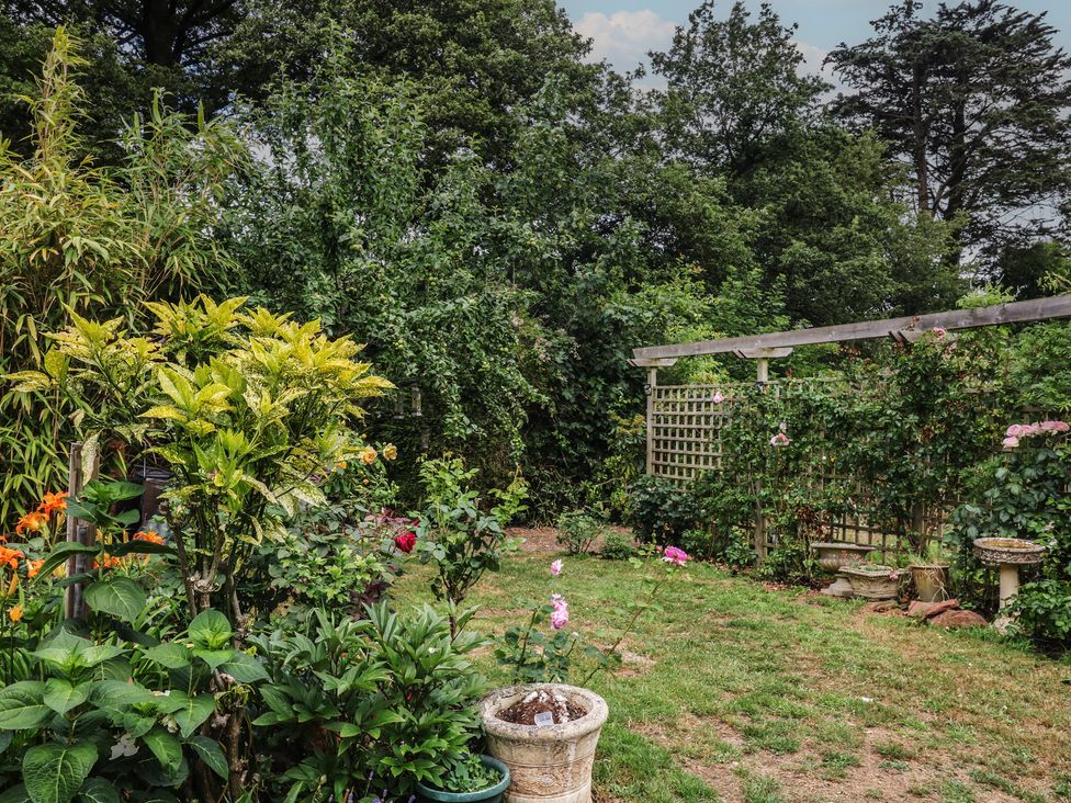 A garden with flowers and a trellis at Mei Cottage in Pinhoe