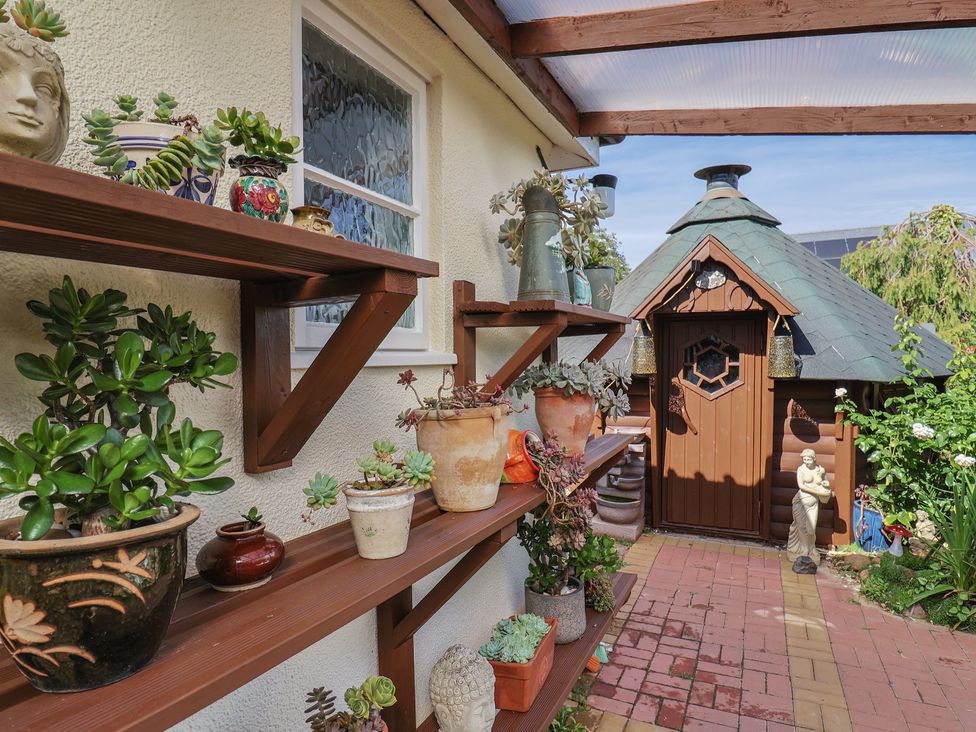 A garden with plants on shelves and a wooden shed at Mei's Cottage in Pinhoe
