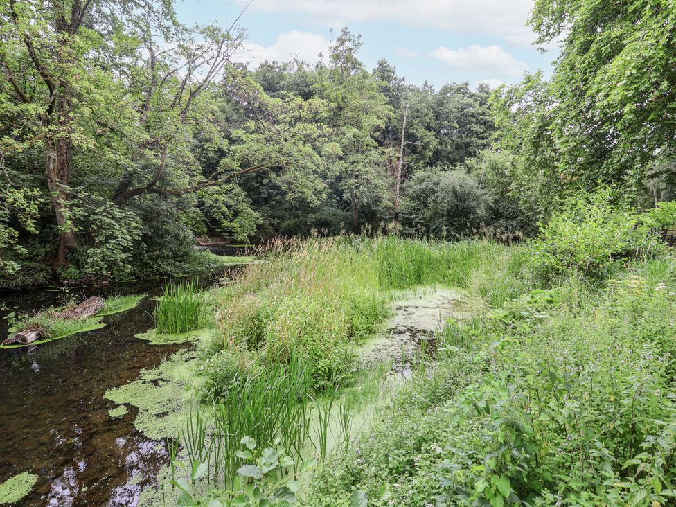 A scene with water and vegetation at Syleham House in Syleham near Eye