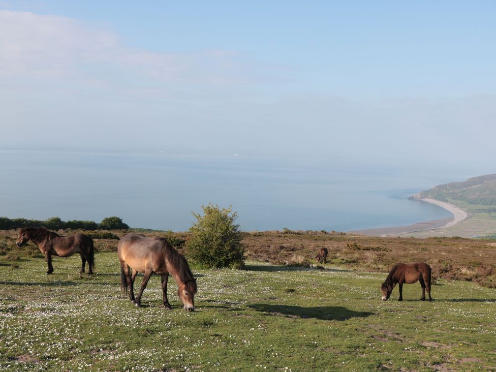 Hunstone Barn - Devon - 1138838 - thumbnail photo 29