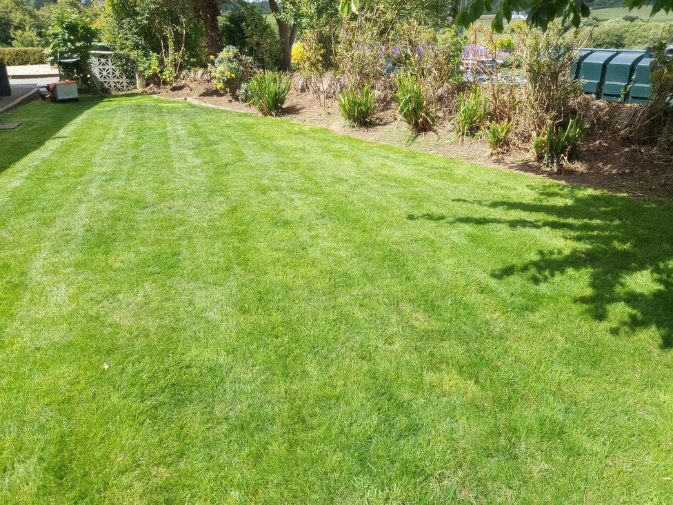 A garden with green grass and shrubs at Llwyn Eithin in Benllech