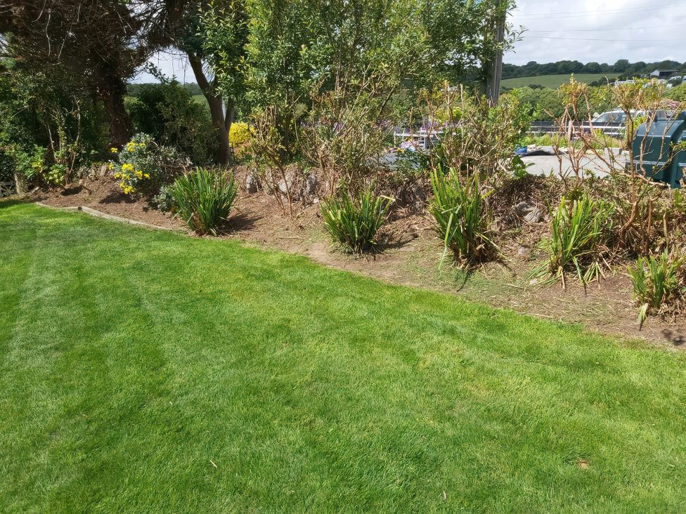 A garden with grass and shrubs at Llwyn Eithin in Benllech