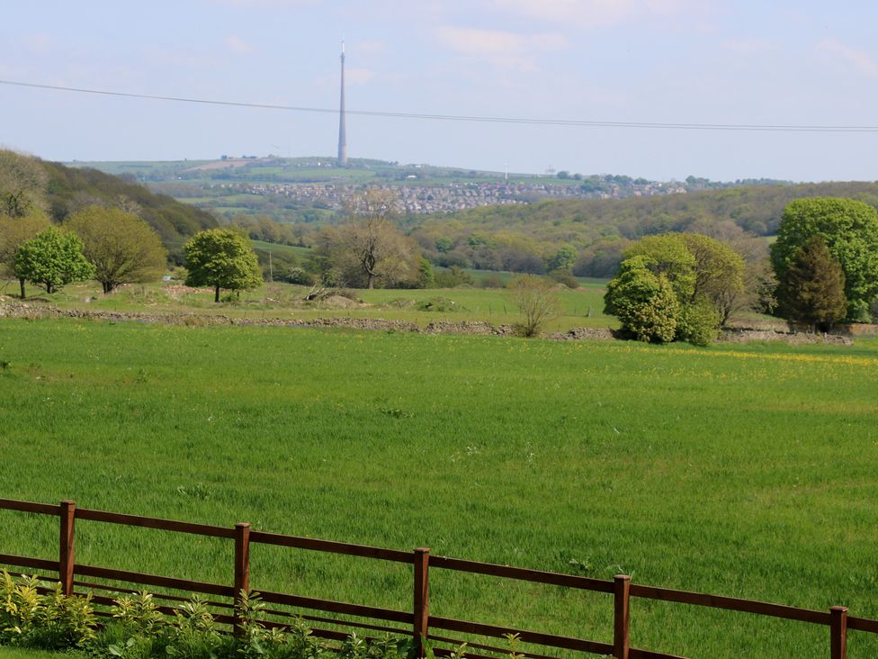 An outdoor view with trees and a television tower at Stagwood House New Mill