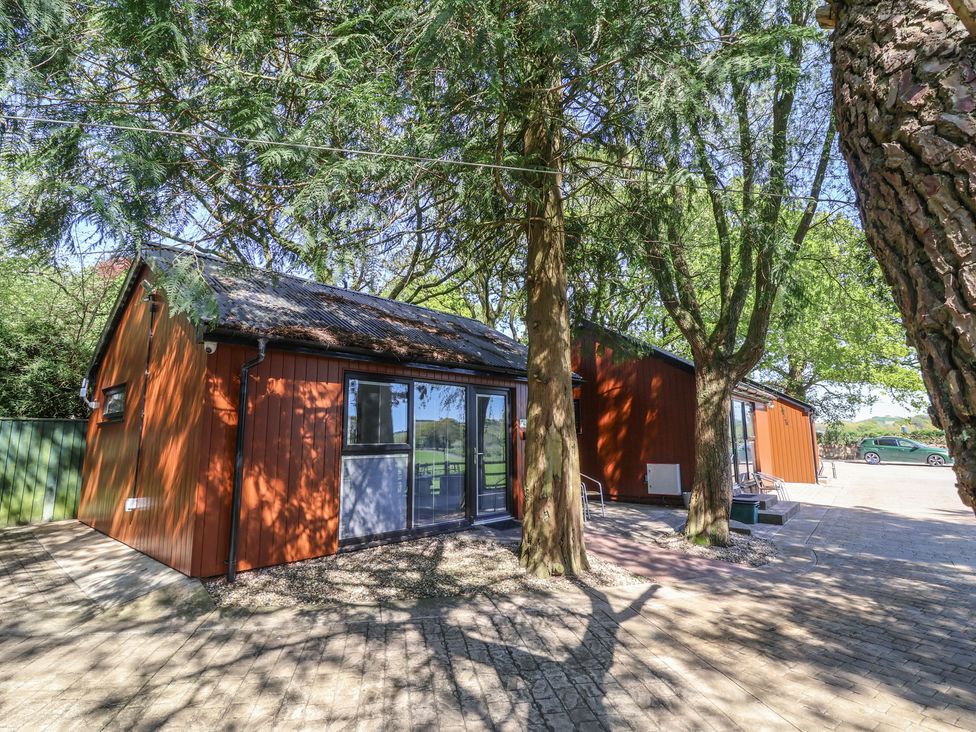 A cabin with trees and a pathway at Fern in Bydown near Barnstaple
