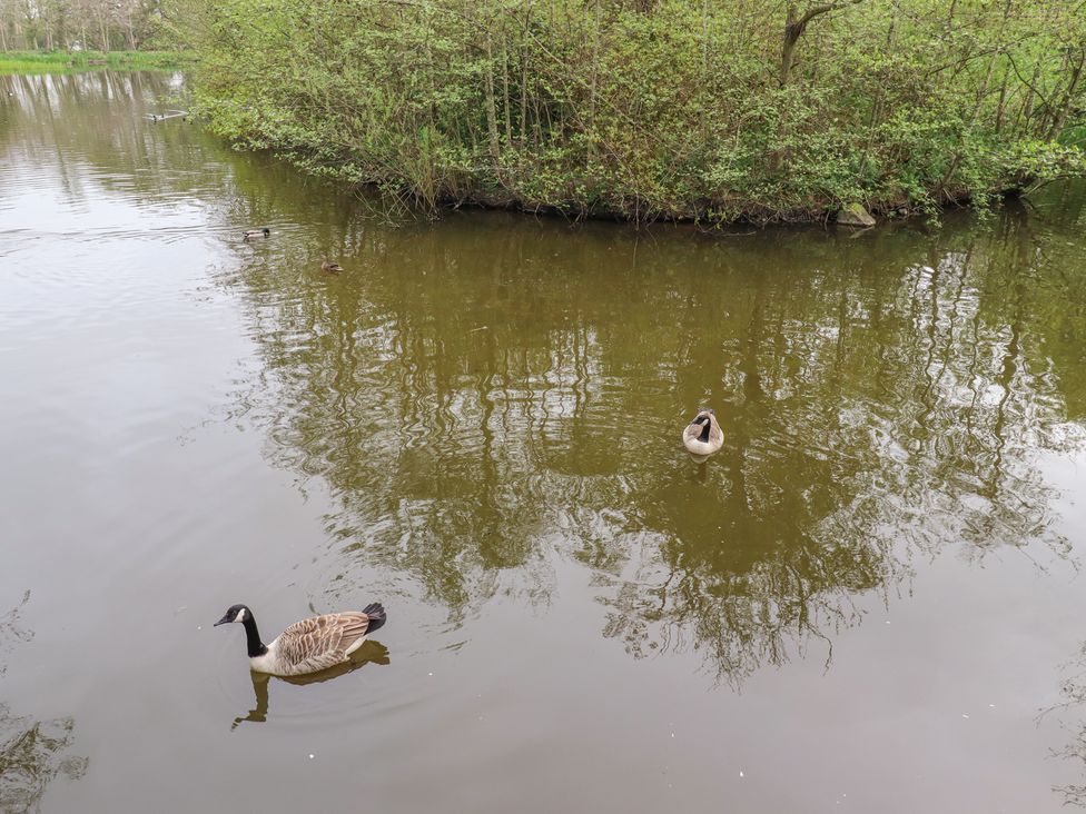 24 Lakeside Drive - Northumberland - 1139335 - thumbnail photo 35