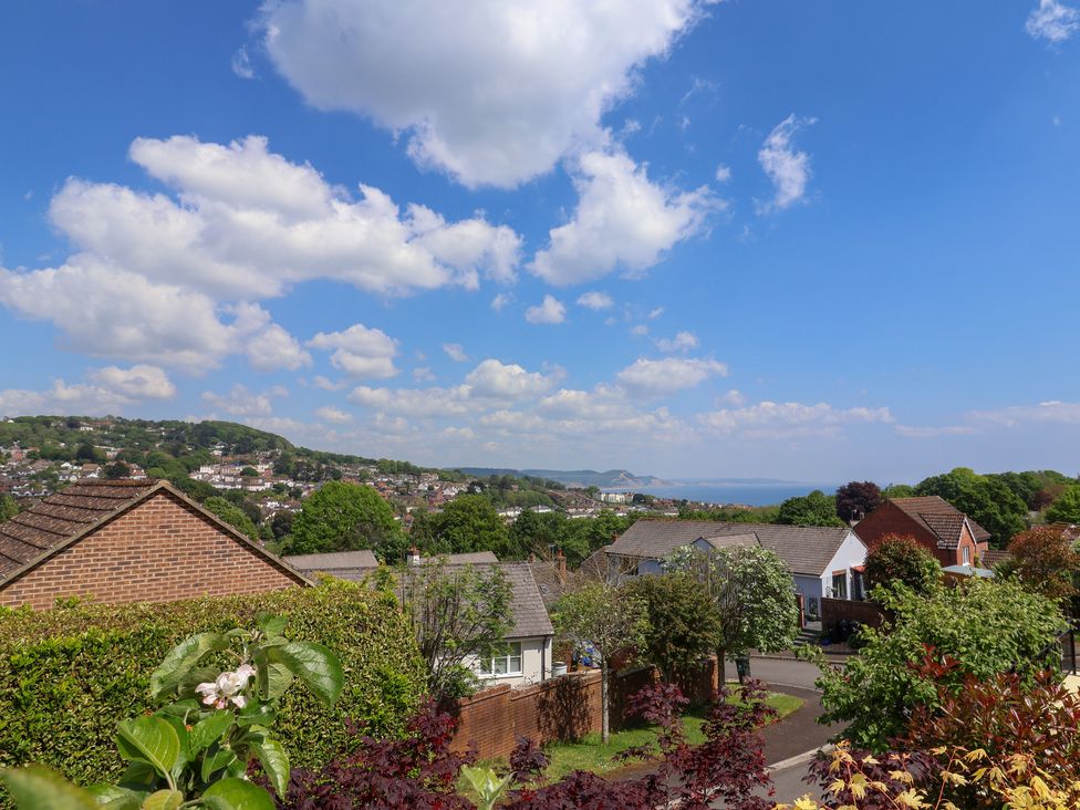 Lyme Bay View - Dorset - 1139390 - thumbnail photo 38