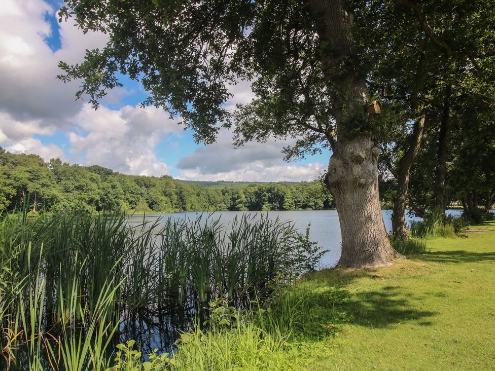 Heron - Herefordshire - 1139445 - thumbnail photo 36