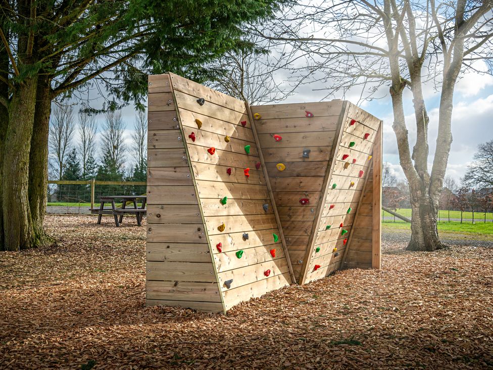 A climbing wall surrounded by trees at Owl in Shobdon