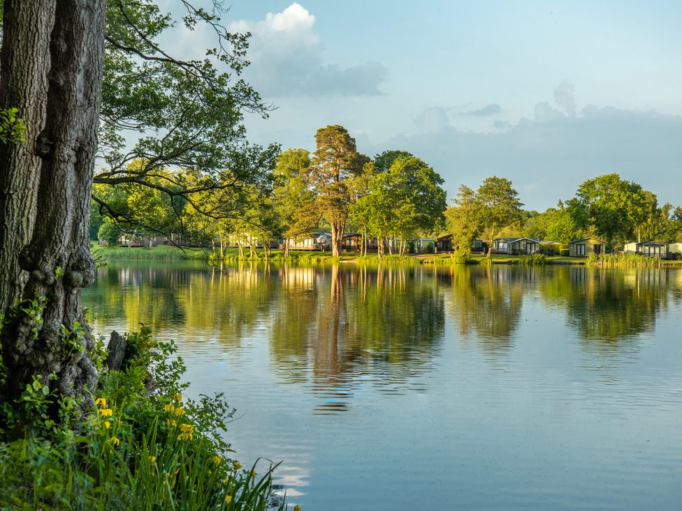 A lake with reflections of trees and cabins at Owl in Shobdon