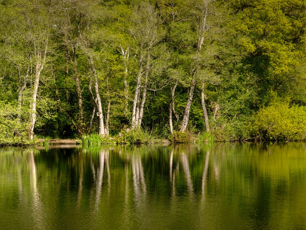 A scene with trees and water reflections at Owl in Shobdon