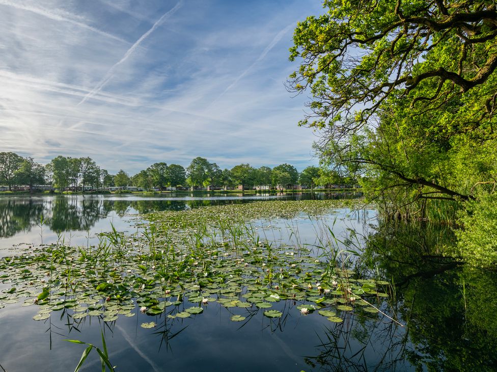 A lake surrounded by trees with lily pads in the water at Owl in Shobdon