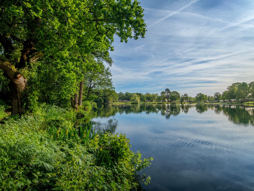 A view of a lake with trees and plants at Owl in Shobdon