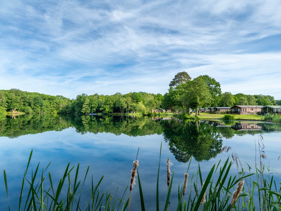 A lake surrounded by trees and cabins at Owl in Shobdon