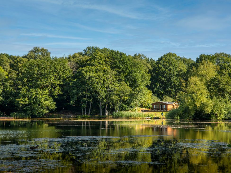 A lake with a house and trees at Owl in Shobdon