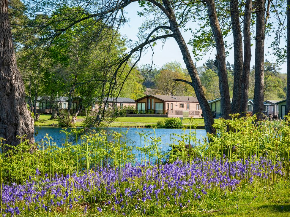 A view of residential units by a lake surrounded by trees at Owl in Shobdon