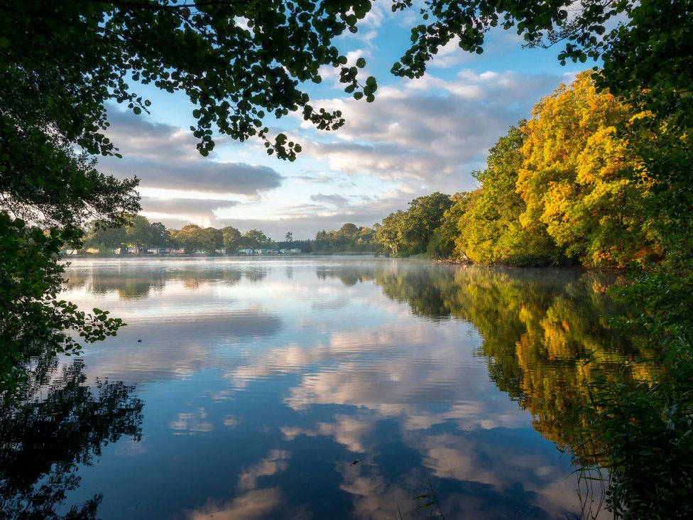 A lake surrounded by trees with reflections in the water at Owl in Shobdon