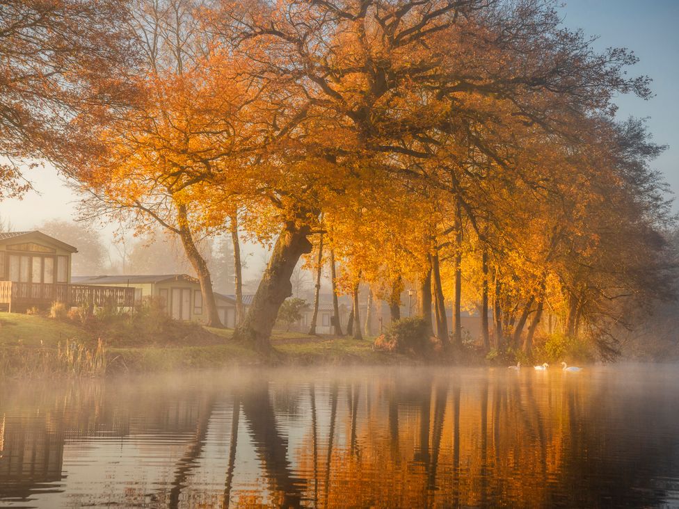 A scenic view with trees and cabins by the water at Keepers Cottage in Shobdon