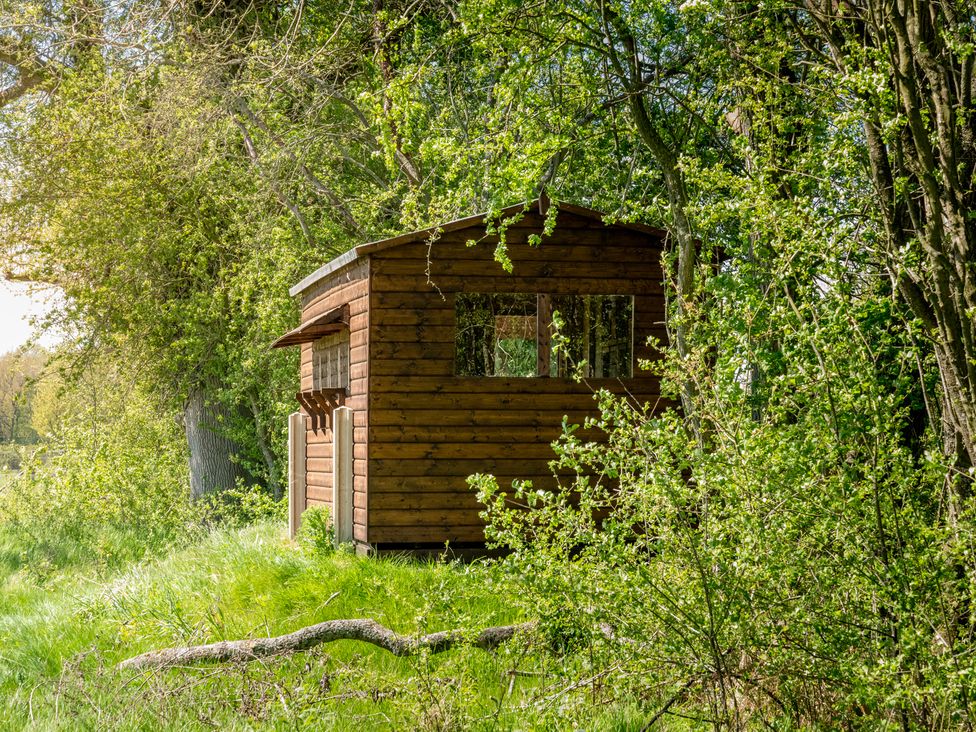 A wooden shed in a forested area at Daffodil in Eardisland