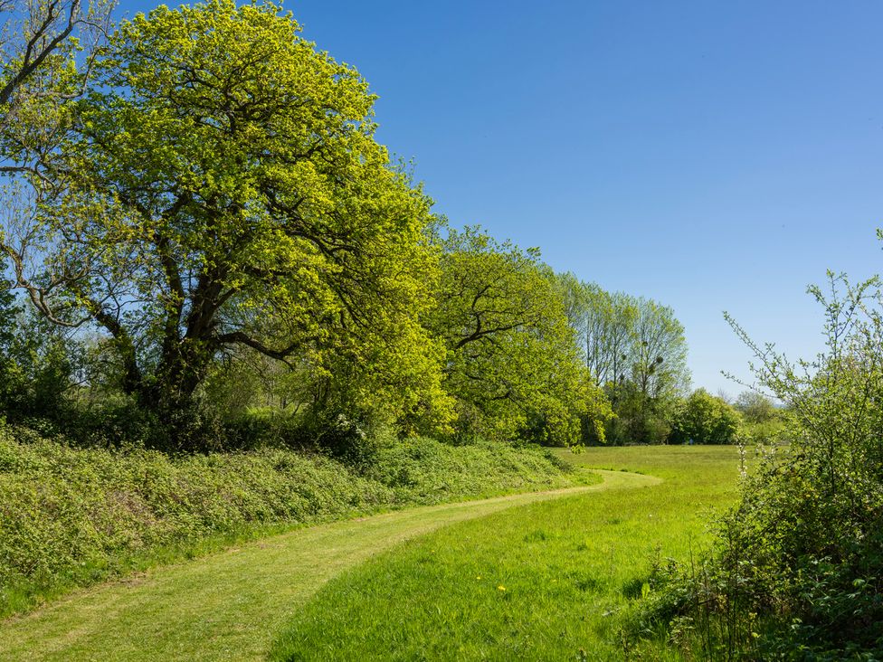 A pathway curving through grass and trees at Daffodil in Eardisland