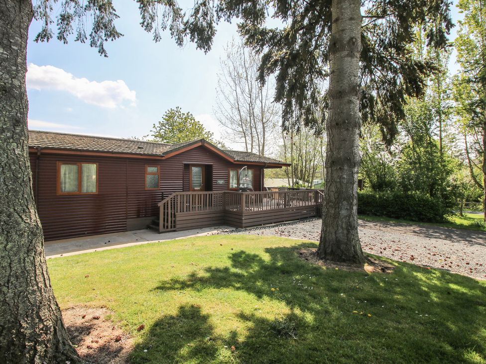 A cabin with a deck surrounded by trees and grass at Foxglove in Eardisland