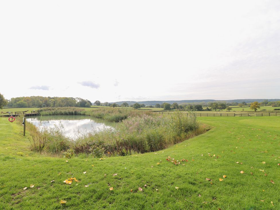 A pond surrounded by grass and trees at The Hereford Lodge in Great Haywood