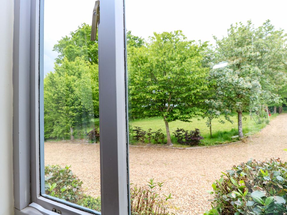 A view from a window showing trees and a gravel driveway at Hollyhock in King's Lynn