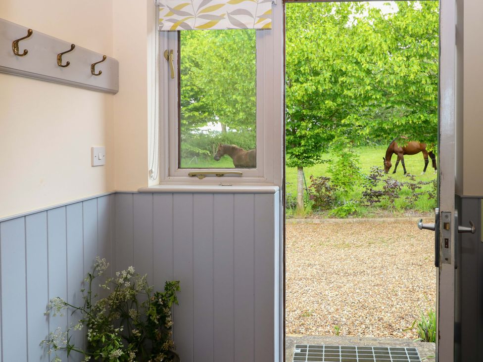 An entryway with hooks and a view of a horse outside at Hollyhock in King's Lynn