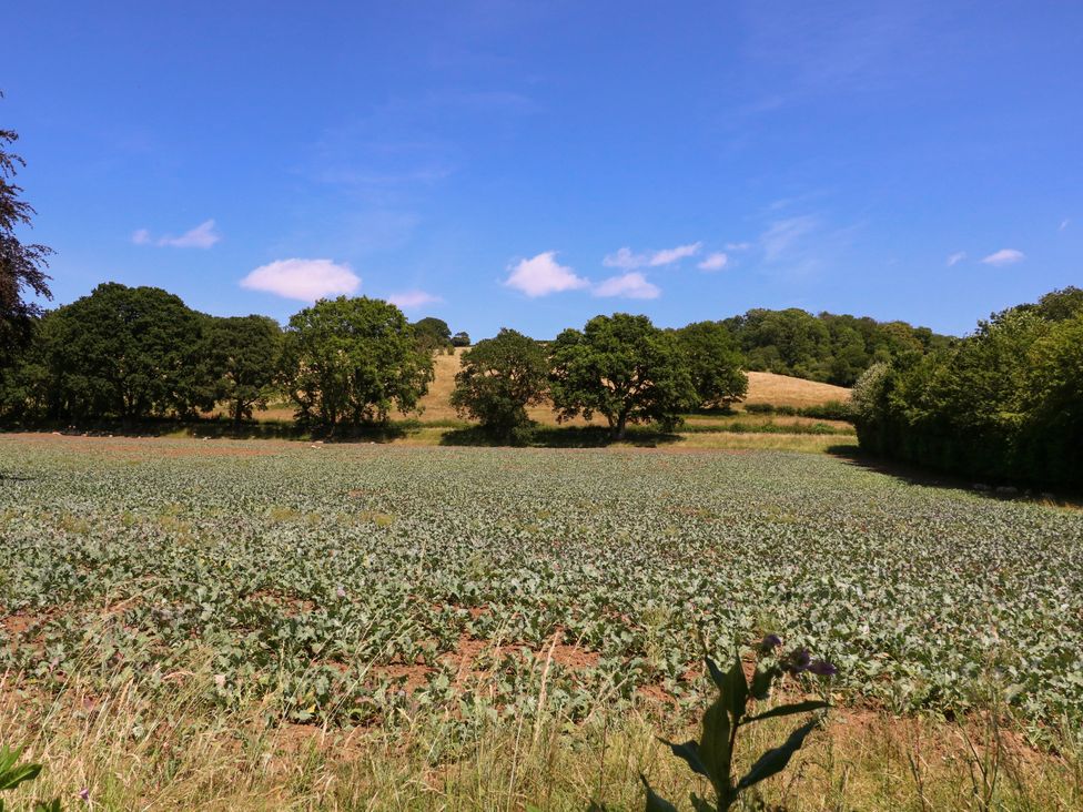 A field with crops and trees under a blue sky at Ranbir House Longhope
