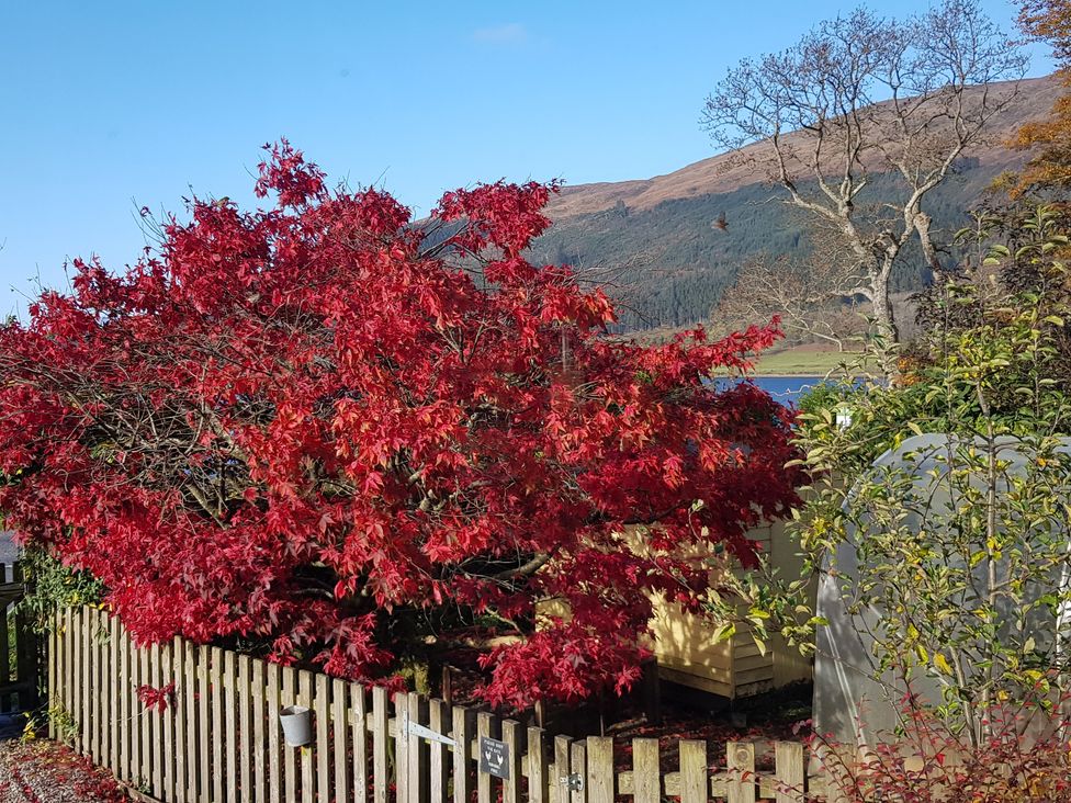 Callart View - Scottish Highlands - 1141040 - thumbnail photo 45