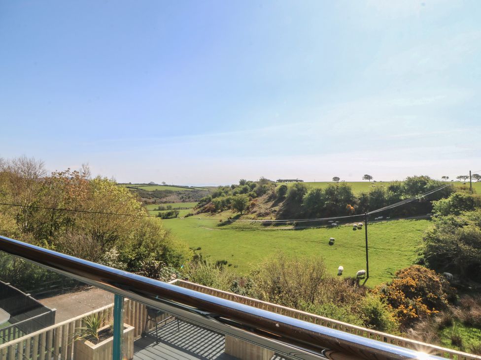 A view of a field with cows and trees at The Hideaway in Mynytho near Abersoch