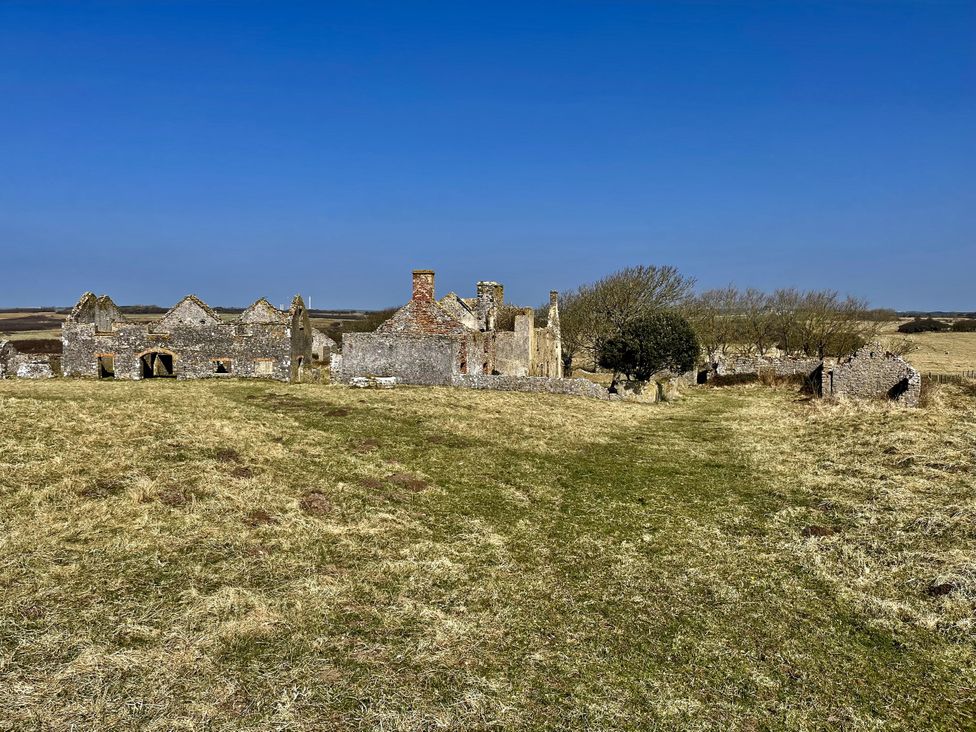 Ruins of a building with grass and trees at Tower Cottage near Pembroke