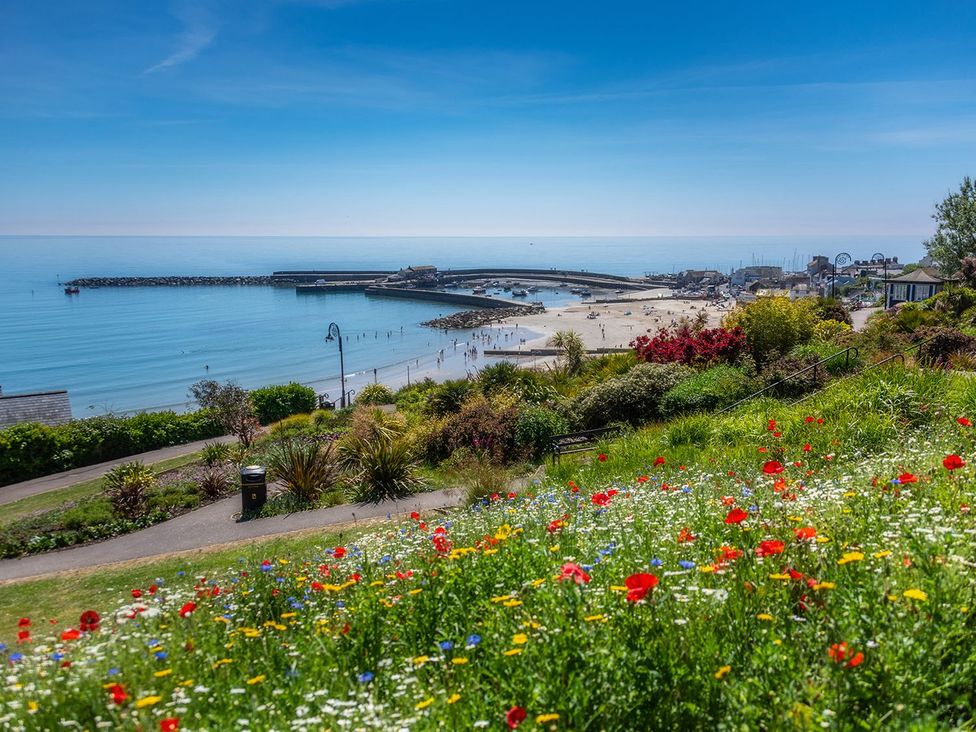 A view of a beach with flowers in the foreground at 14 Marine Parade Lyme Regis