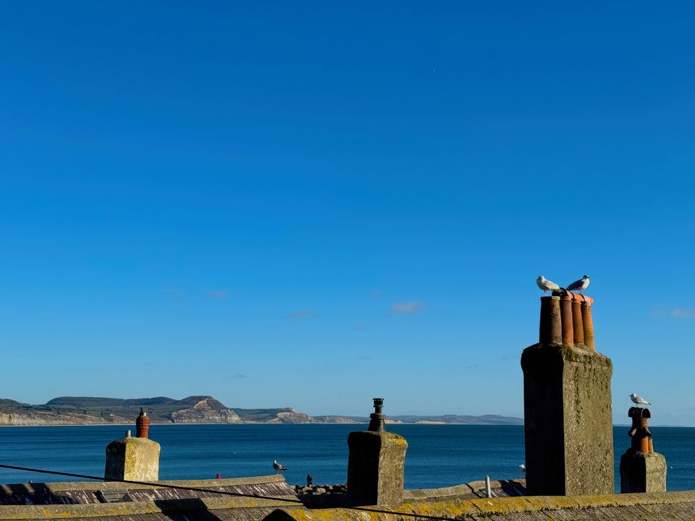 A seaside view with chimneys and seagulls at Port House in Lyme Regis