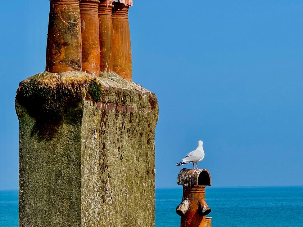 A bird standing on a chimney structure by the ocean at Port House in Lyme Regis