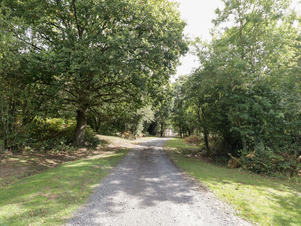A path surrounded by trees at Keepers Barn in Bromyard