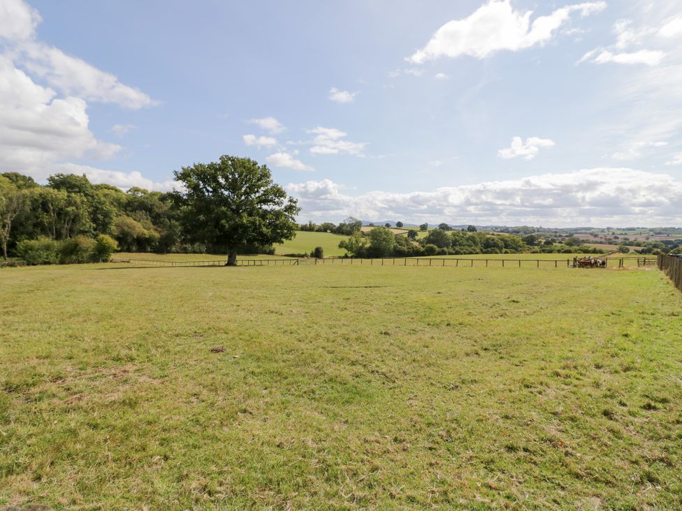 A field with a tree and a fence at The Cow Shed in Bromyard