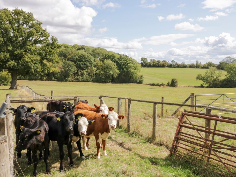 The Cow Shed - Herefordshire - 1141793 - thumbnail photo 30