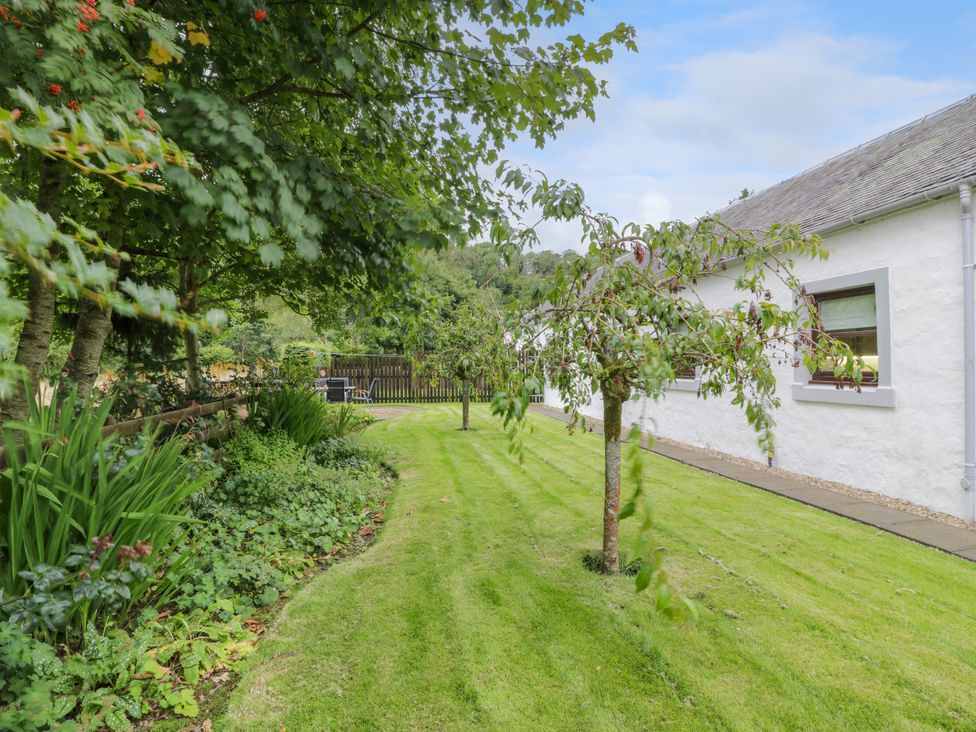 The Barn at Daldorch - Scottish Lowlands - 1141814 - thumbnail photo 21