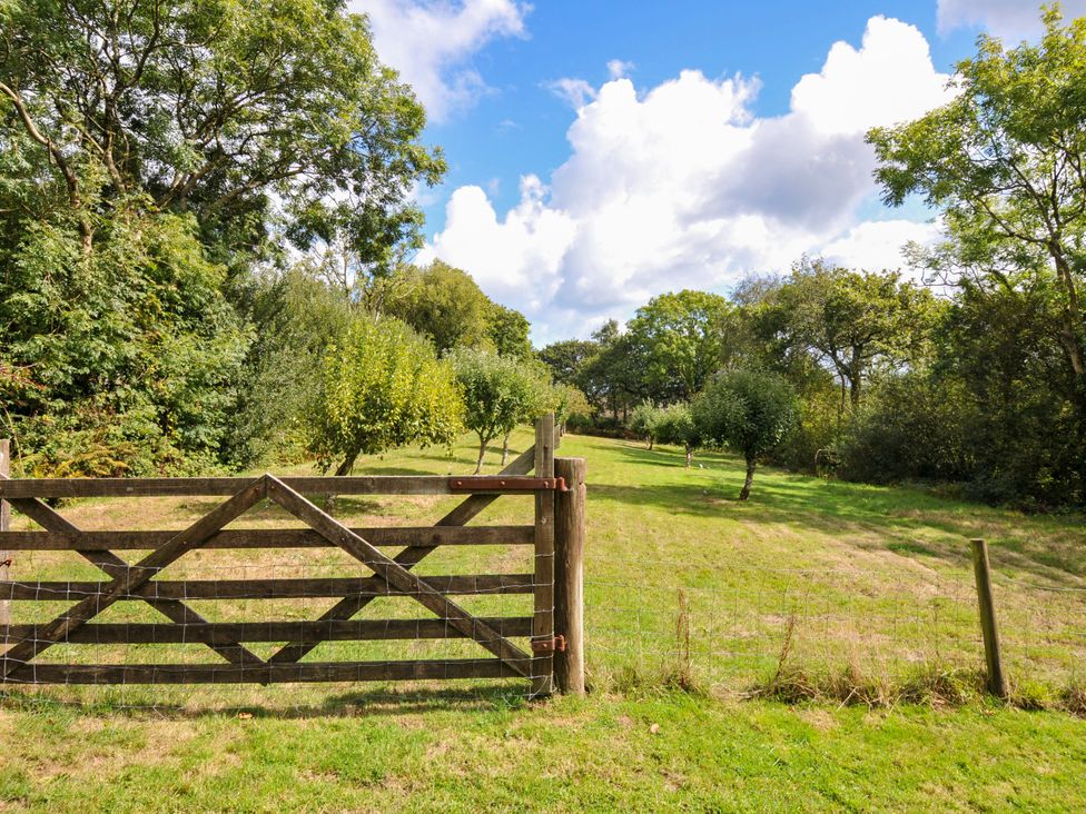 A garden with a wooden gate and trees at Shipload Cottage in Hartland