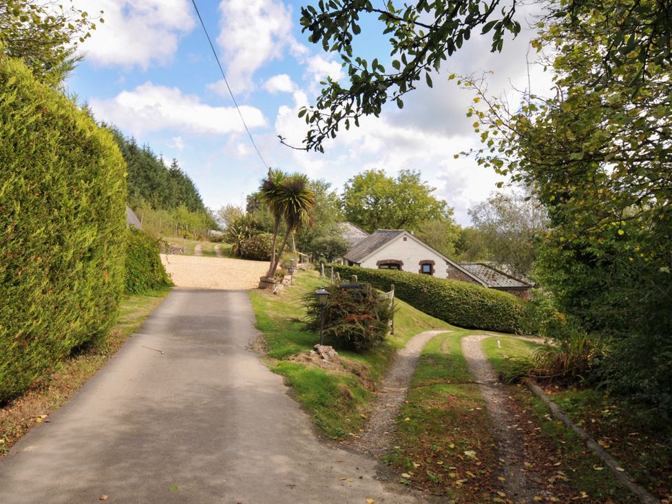 A driveway leading to a house with trees and hedges at Windbury Cottage in Hartland