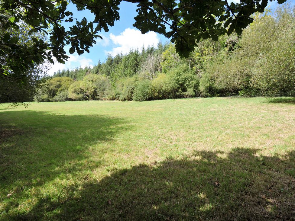An outdoor grassy area with trees at Windbury Cottage in Hartland
